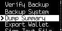 dump summary